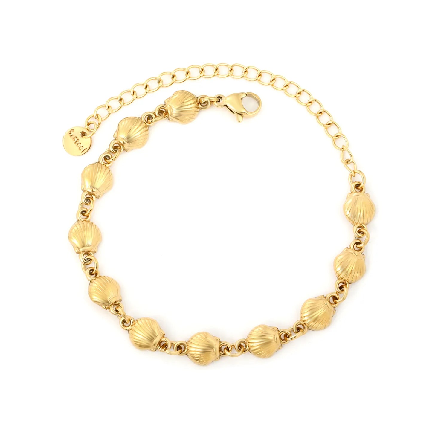 ✨🐚Wholesale Gold Shell Charm Bracelet: 7x6.5mm Beach Pendant + 15+7cm Adjustable Chain | Stainless Steel Ocean Jewelry Bulk