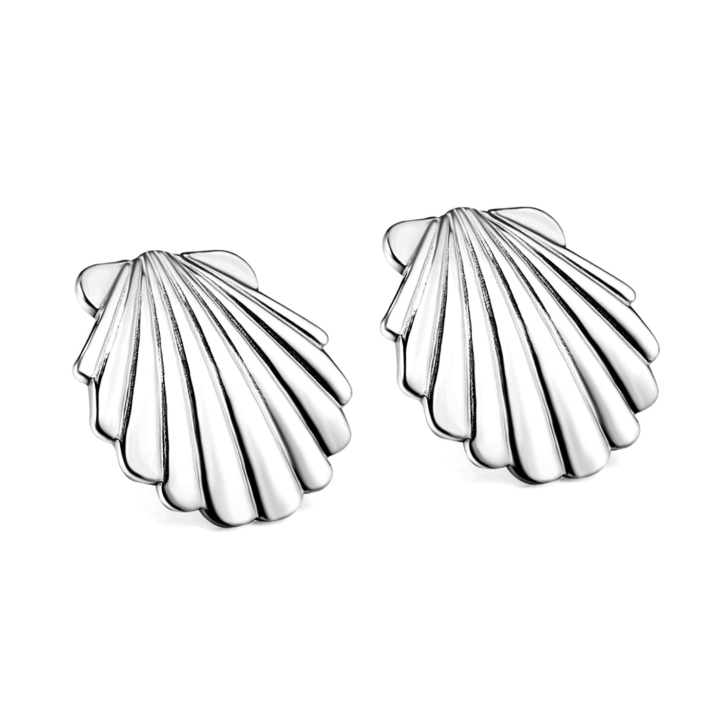 Smooth Shell 24.8mm Stud Earrings