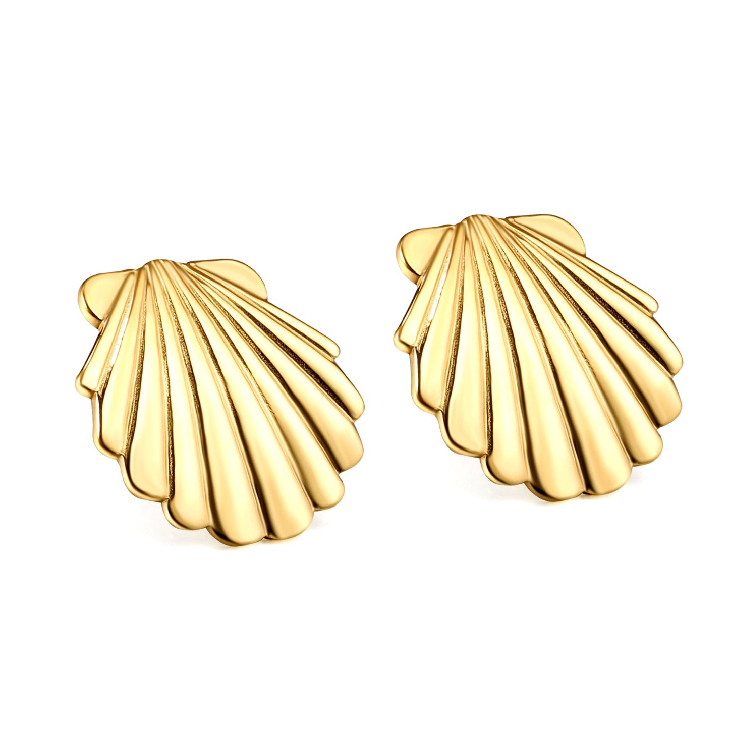 Smooth Shell 24.8mm Stud Earrings