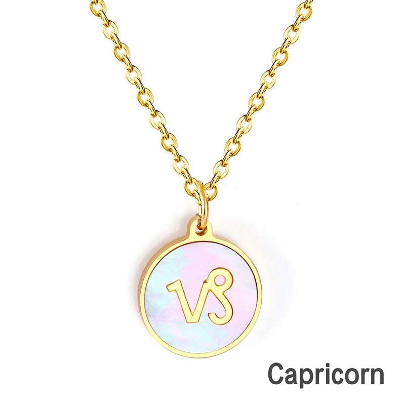 Shell Pendant Twelve Constellation Stainless Steel Necklace Man Jewelry For Women Choker Chain Necklace Collar 2021