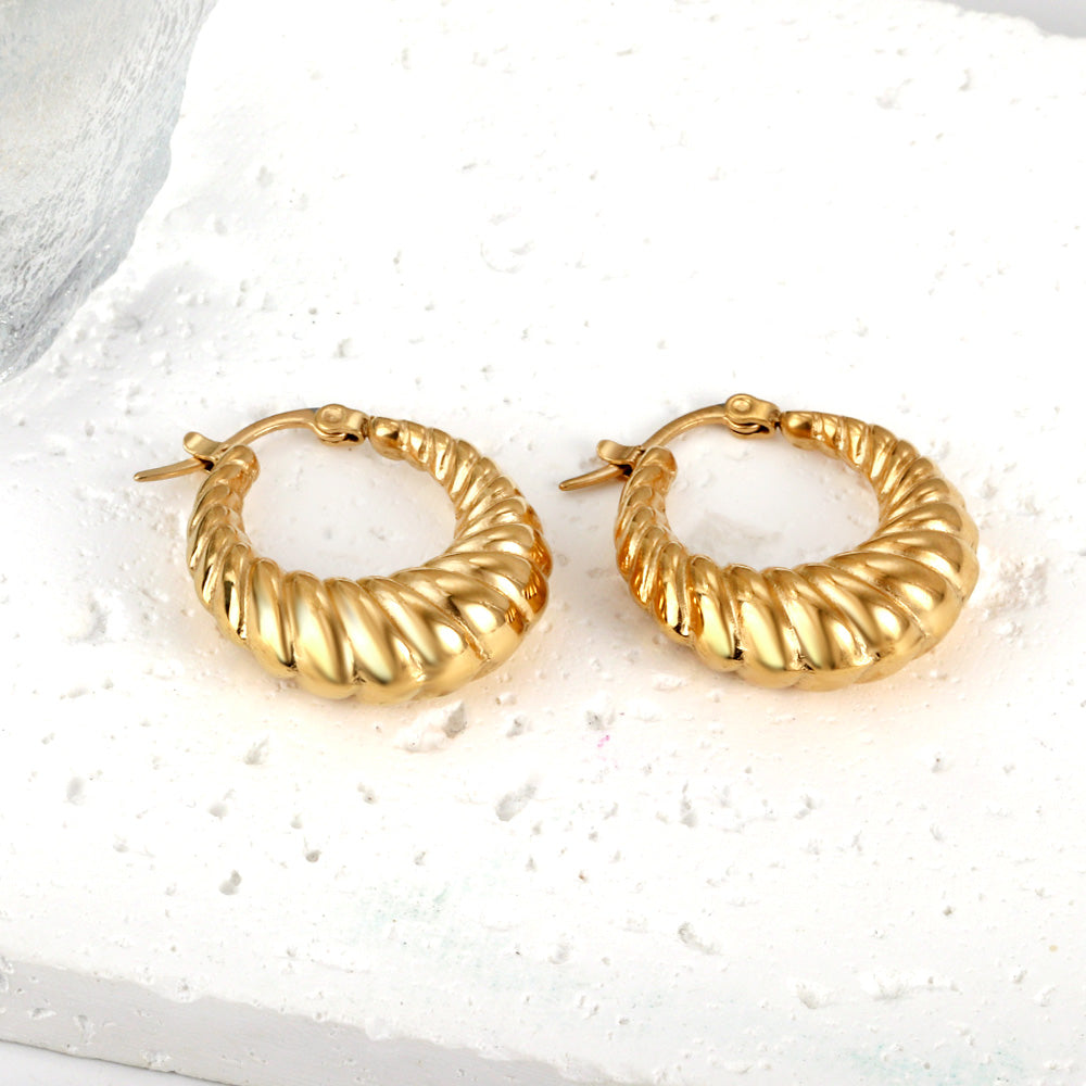 The latest popular fashion twist earrings